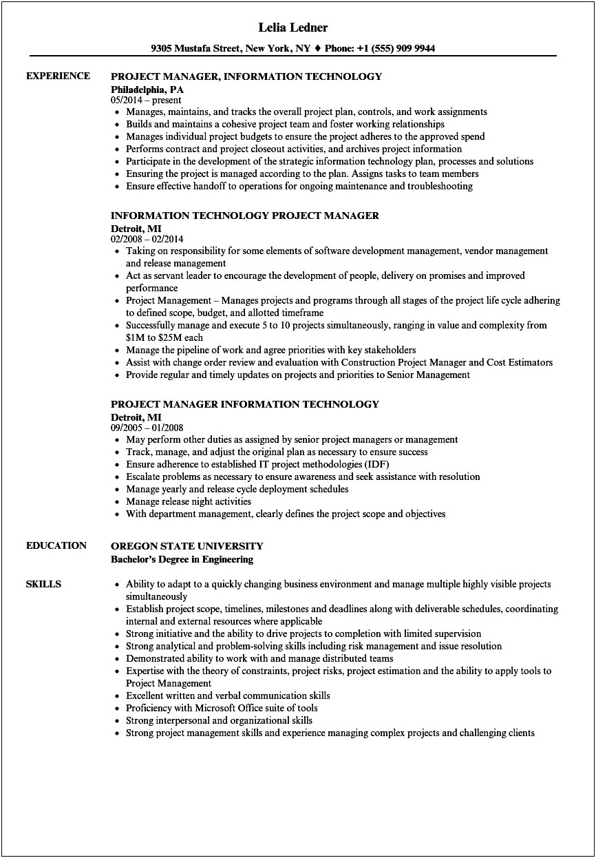 Information Technology Manager Resume Objective
