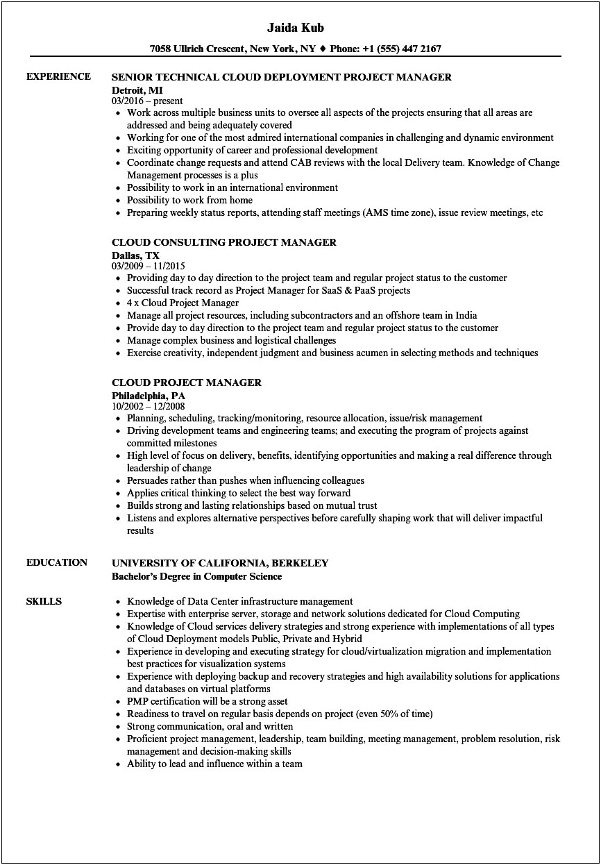 Infrastructure Project Manager Resume India