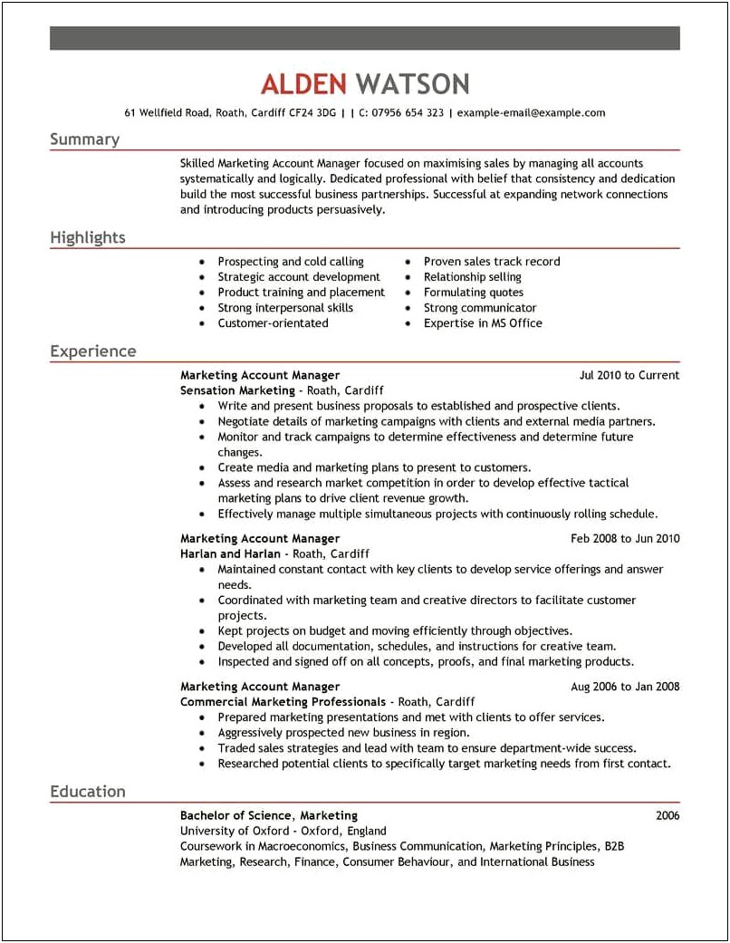Inside Account Manager Resume Sample
