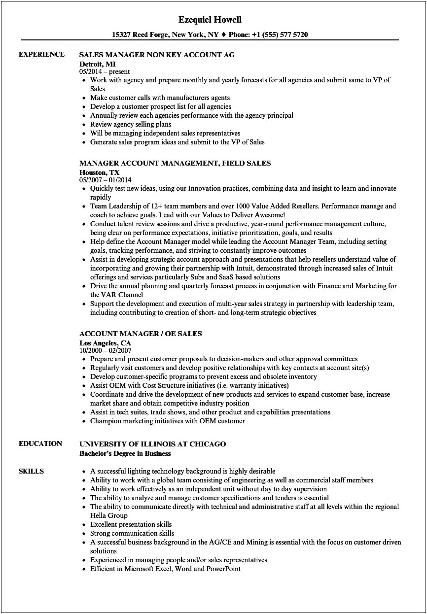 Inside Sales Account Manager Resume Template