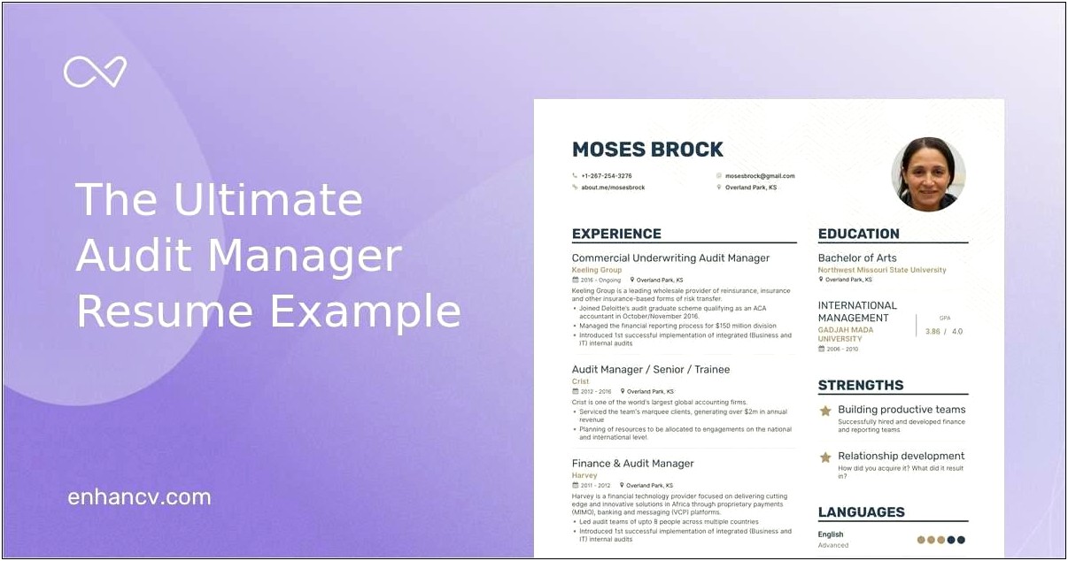 It Audit Manager Resume Sample
