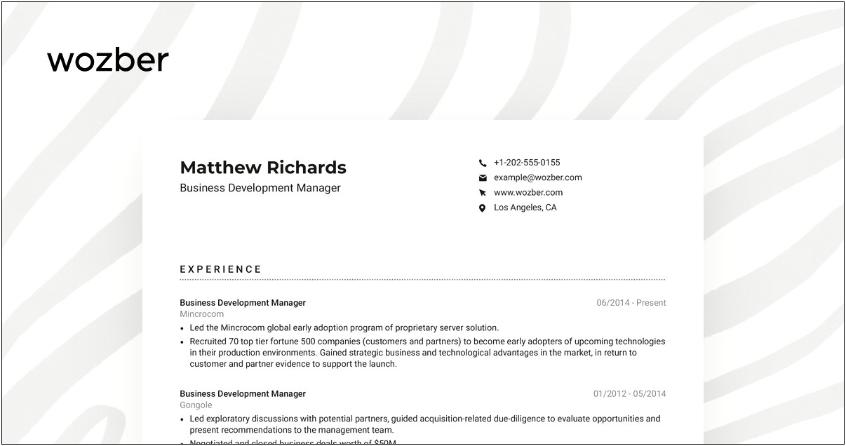 It Business Development Manager Resume