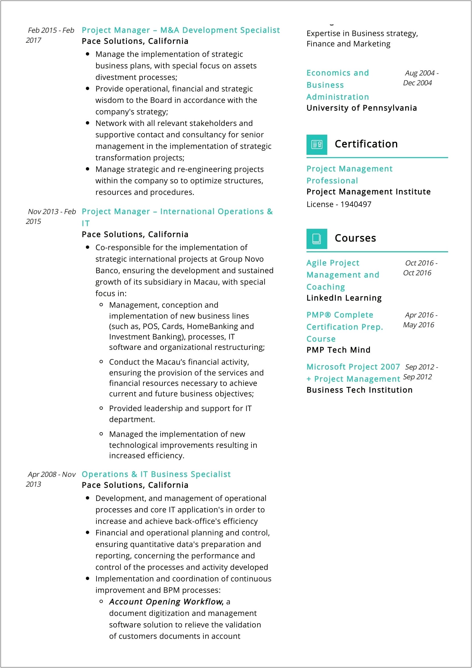 It Director Business Plan Resume Template