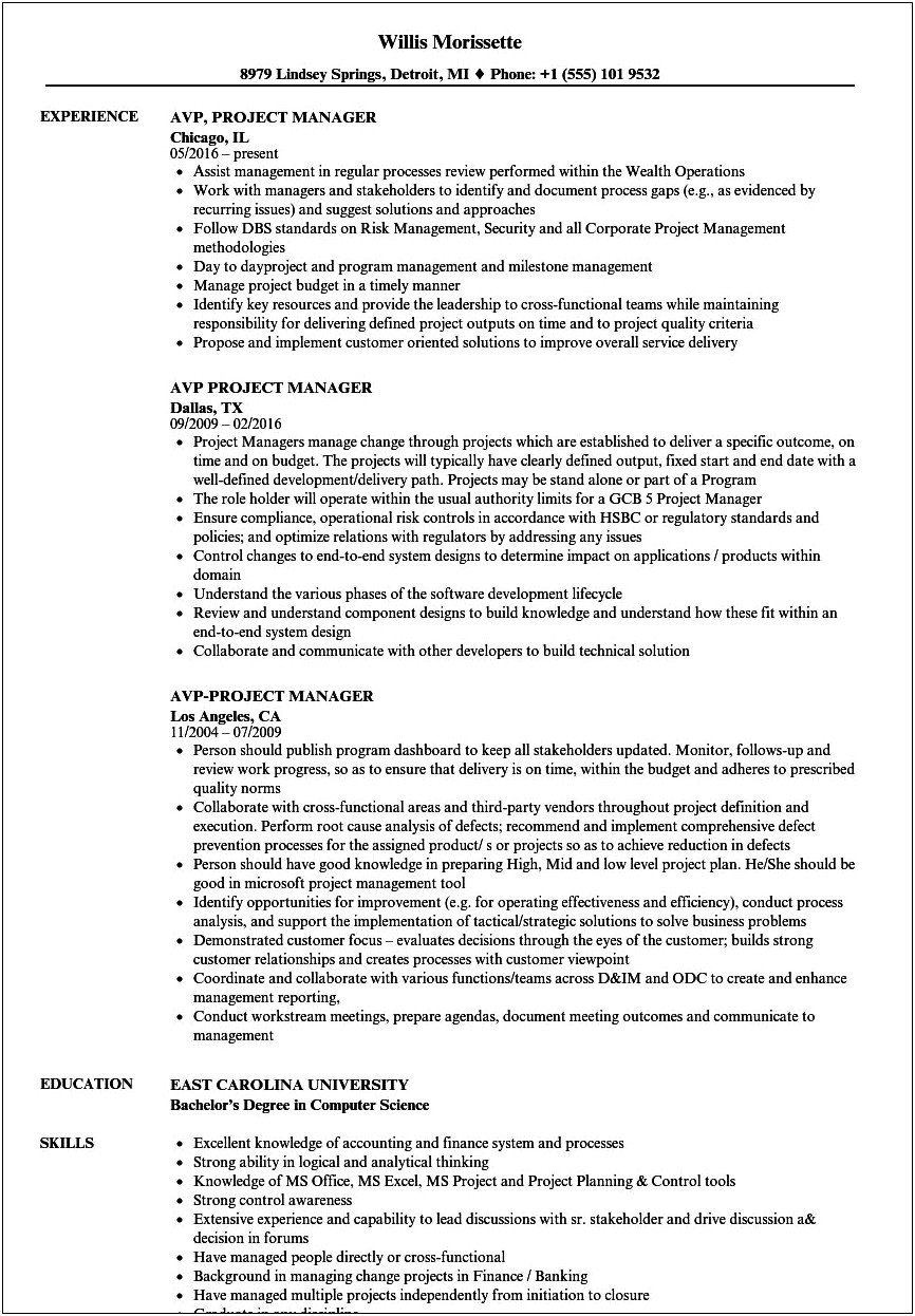 It Finance Project Manager Resume
