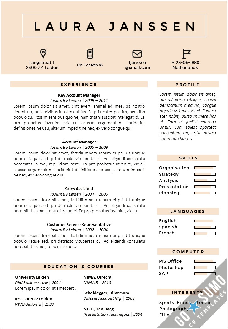 It Manager Resume Template Color