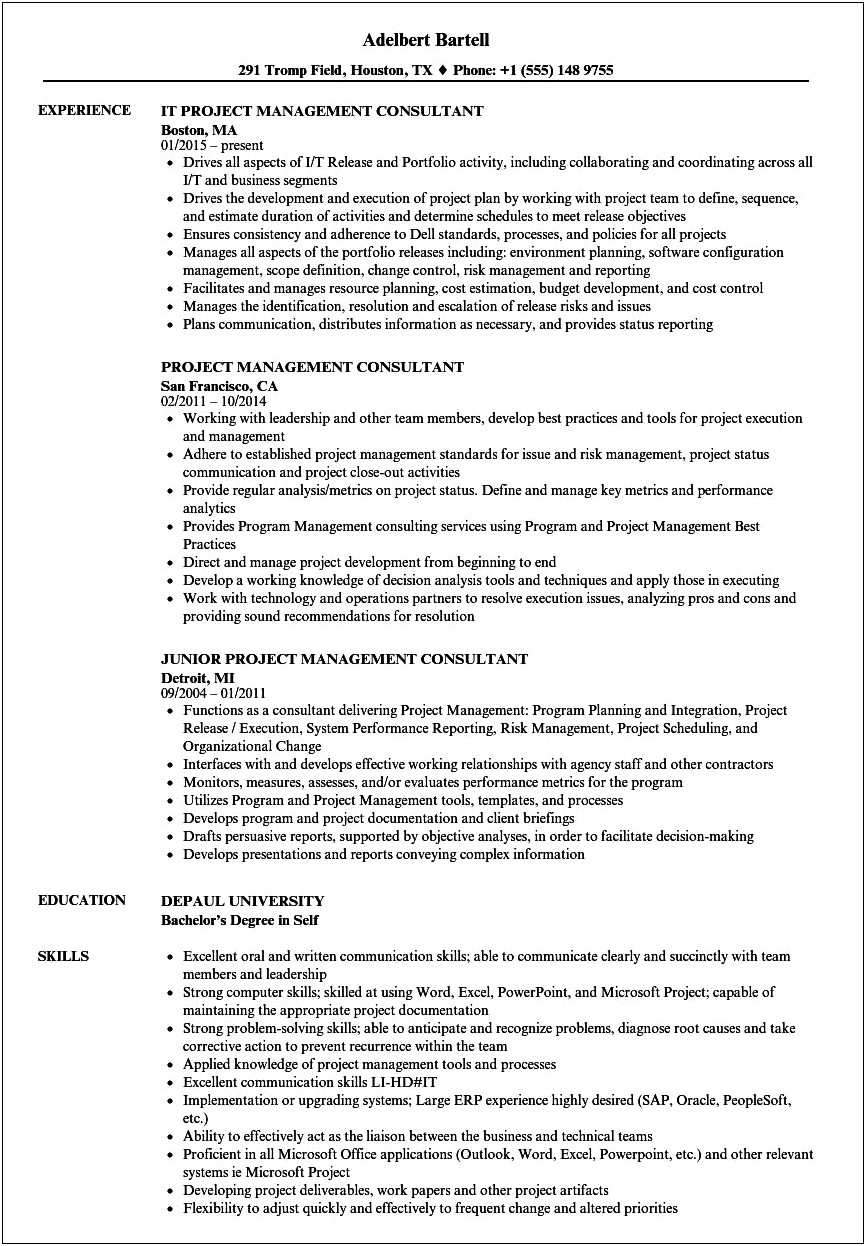 It Project Manager Consultant Resume