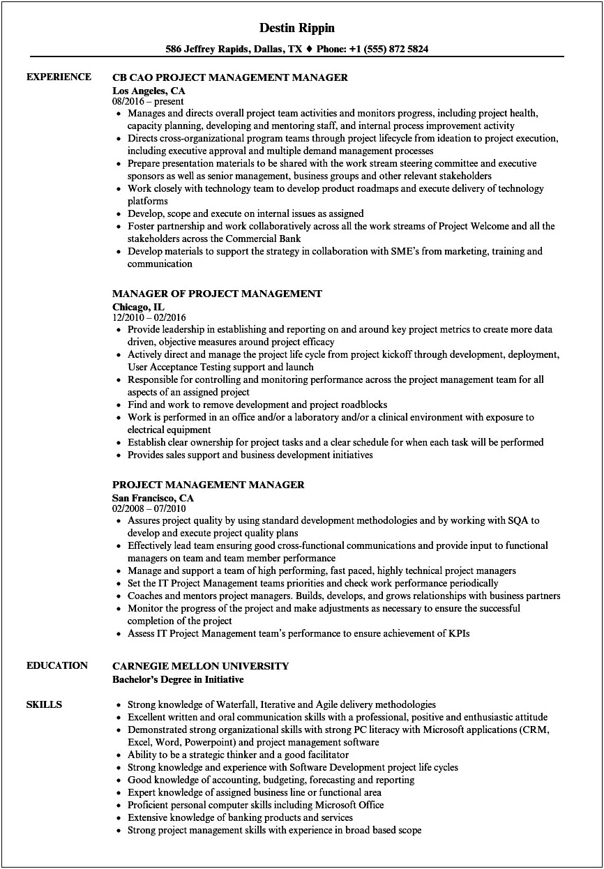 It Project Manager Experience Resume