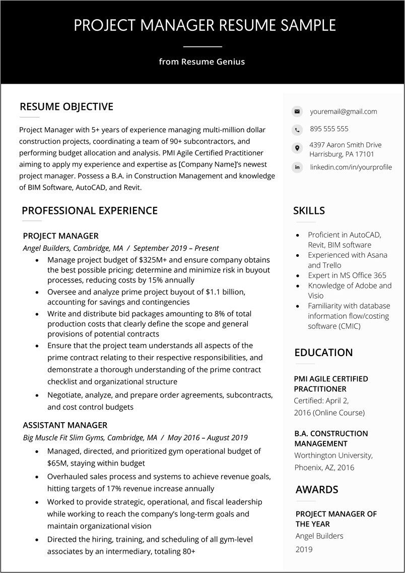 It Project Manager Ii Resume