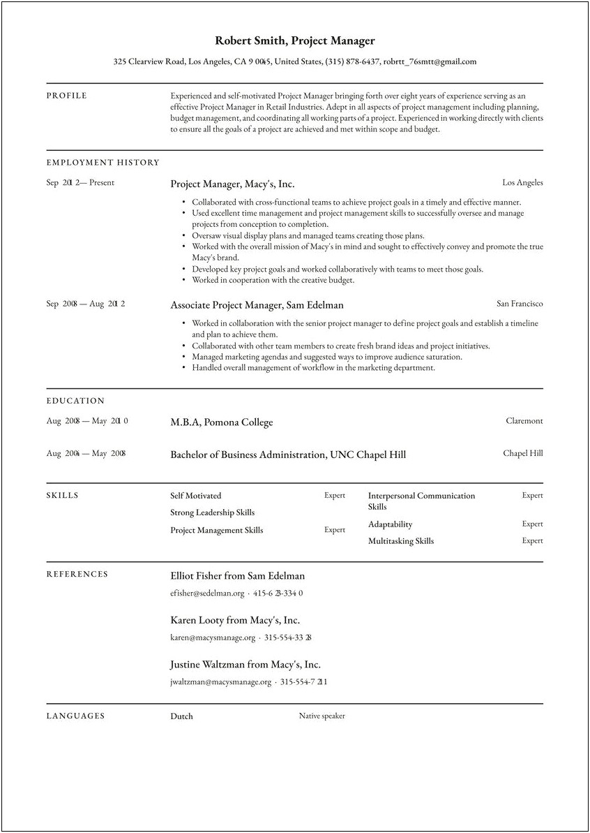 It Project Manager Resume Sample India