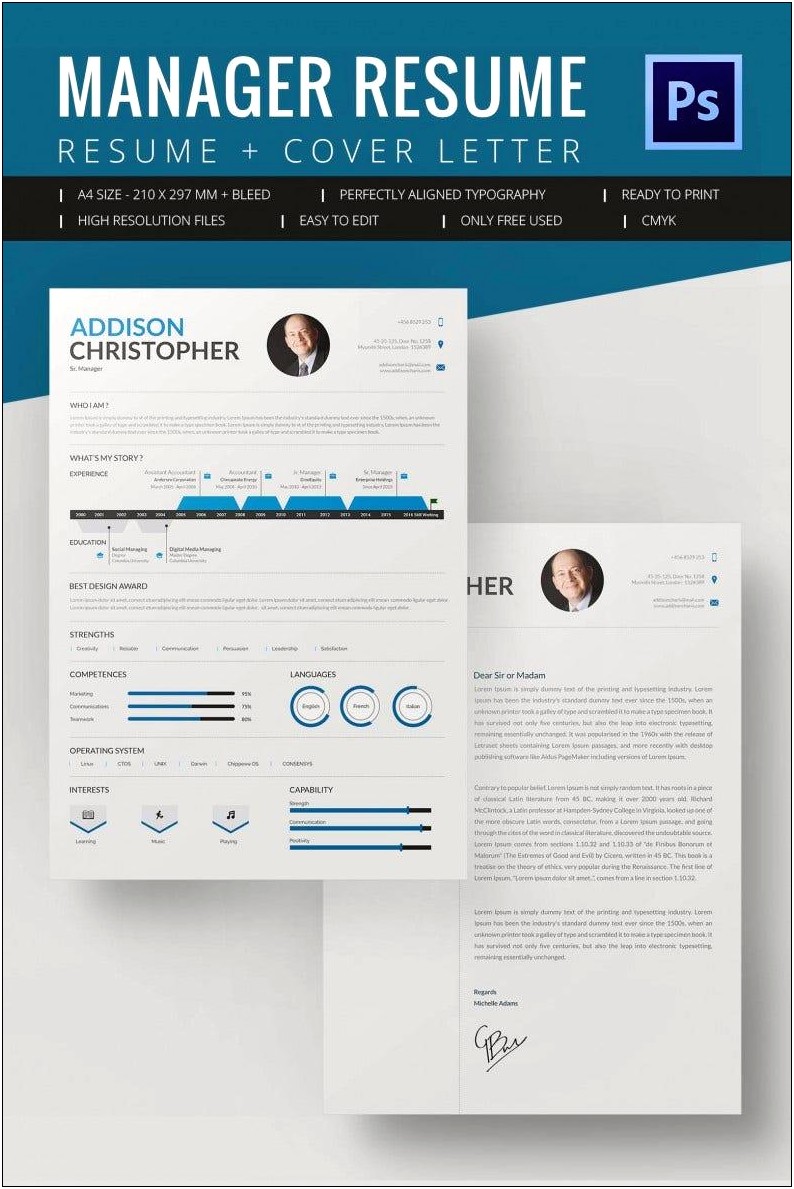 It Project Manager Resume Template Download