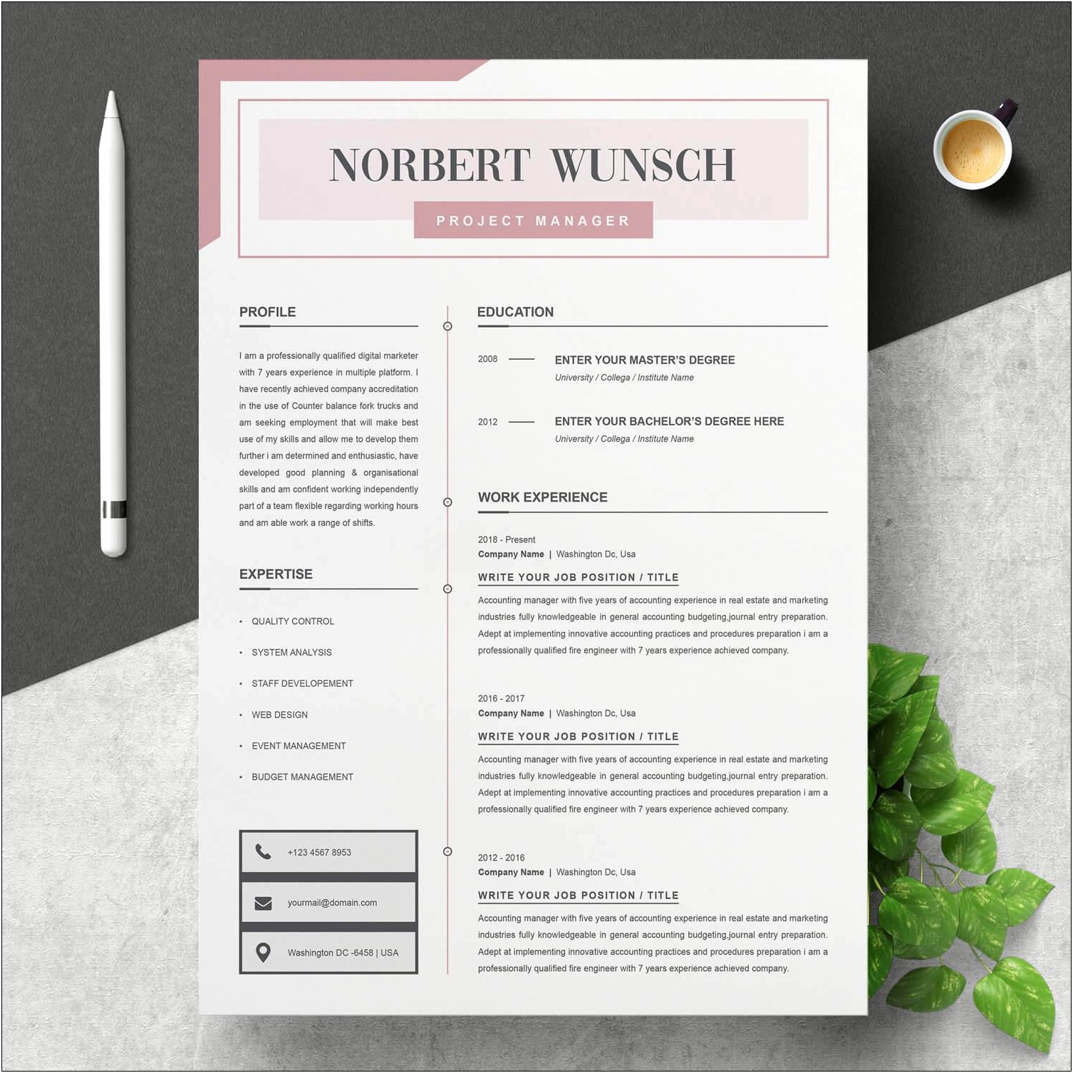 It Project Manager Resume Template Word