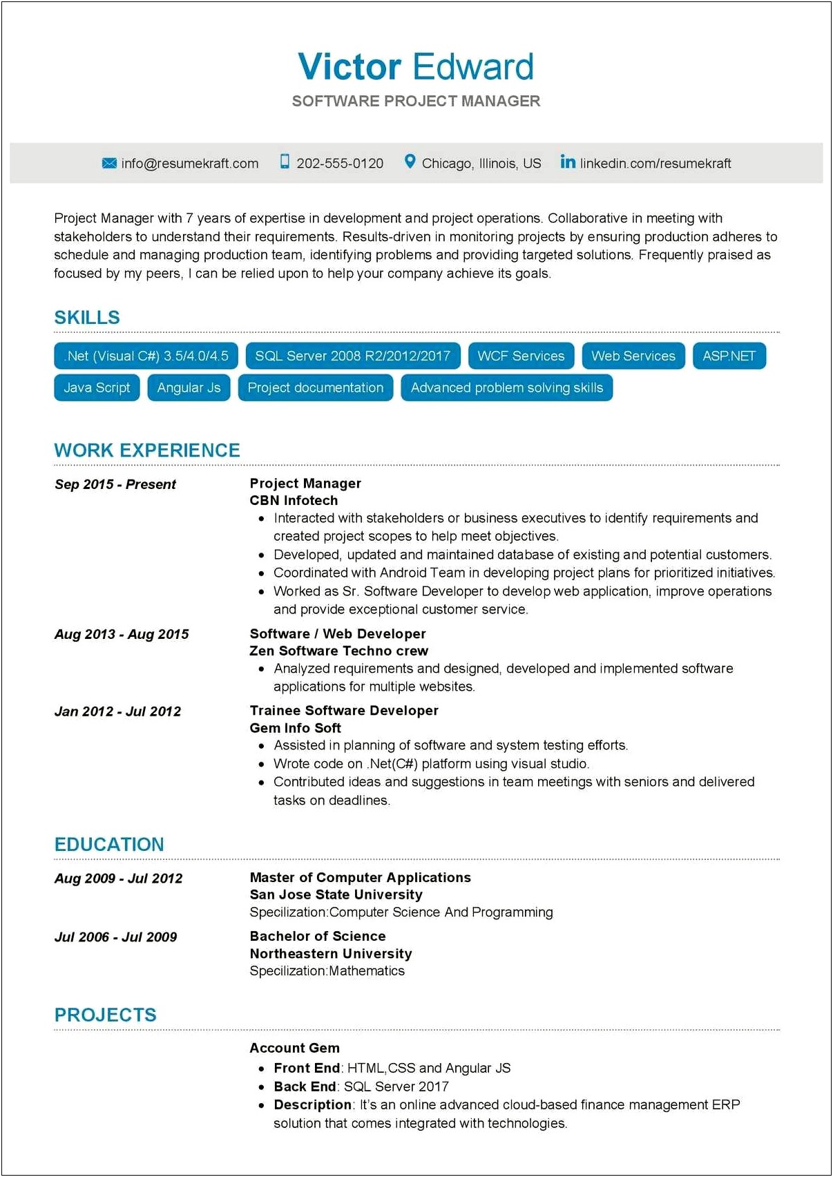 It Project Manager Summary Resume