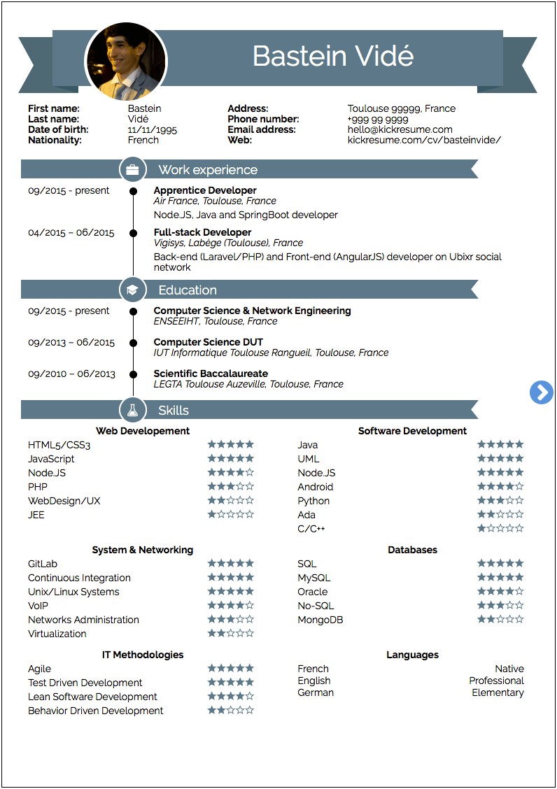 It Resume Tips And Examples