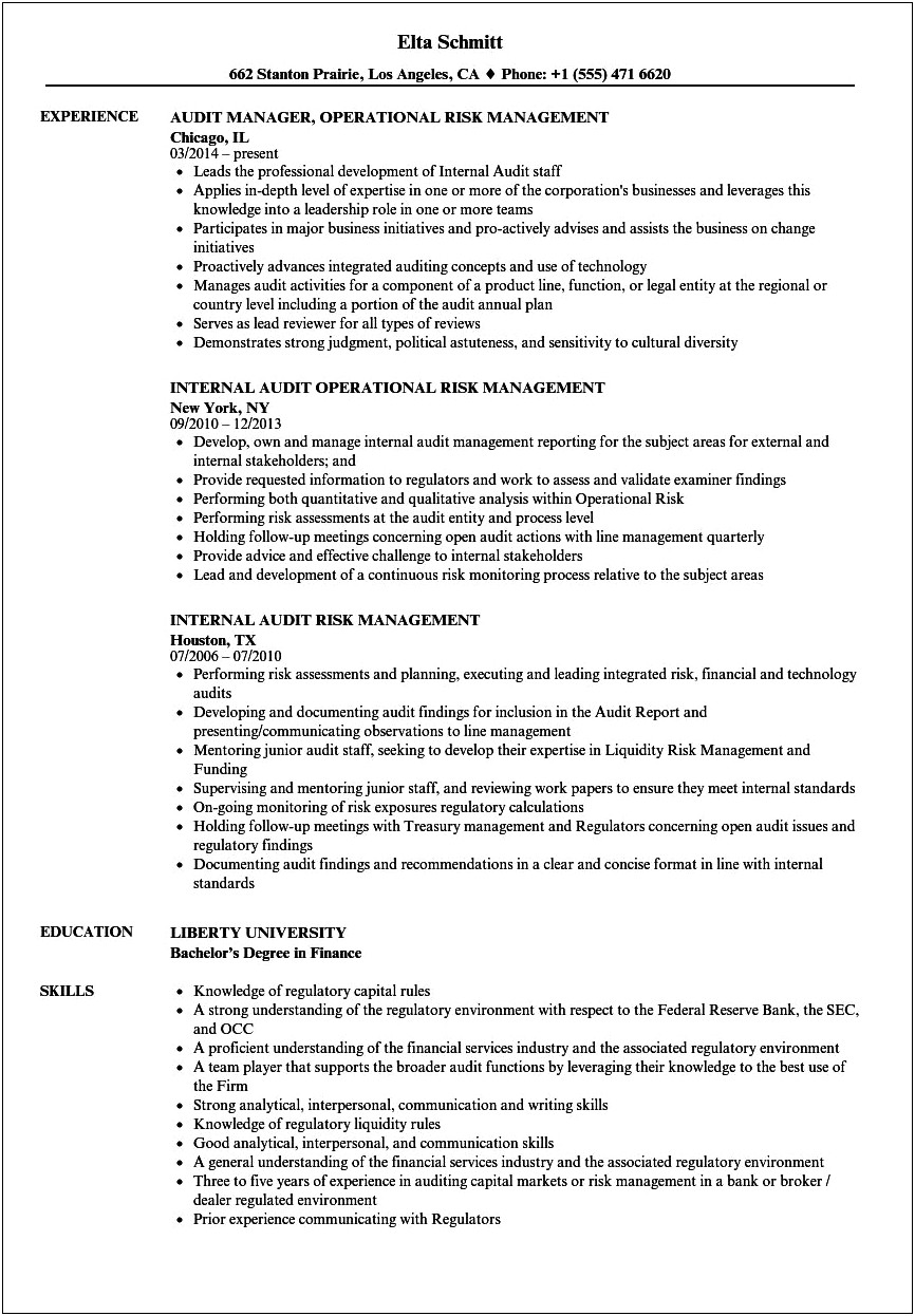 It Risk Manager Resume Highlights