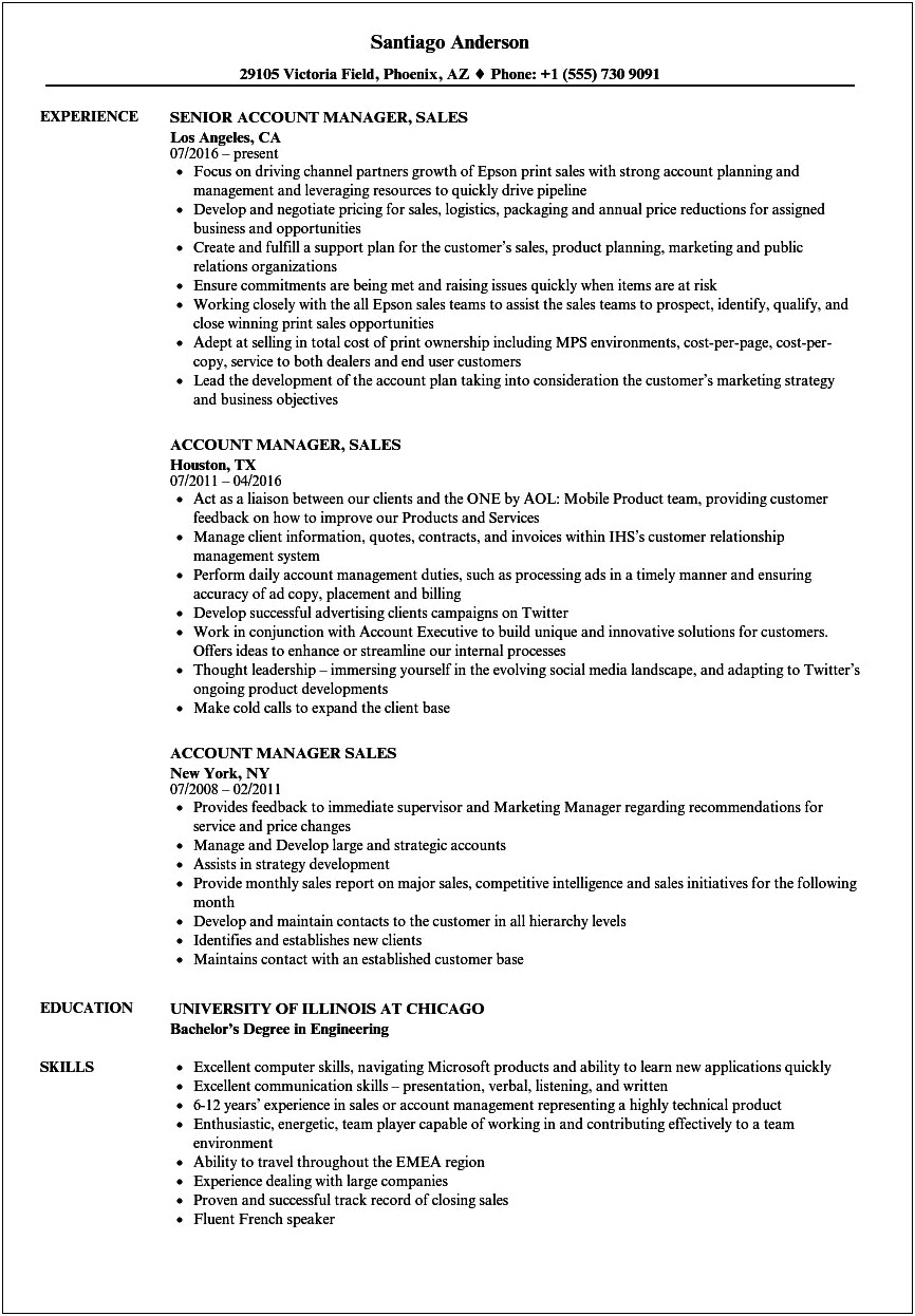 It Sales Account Manager Resume