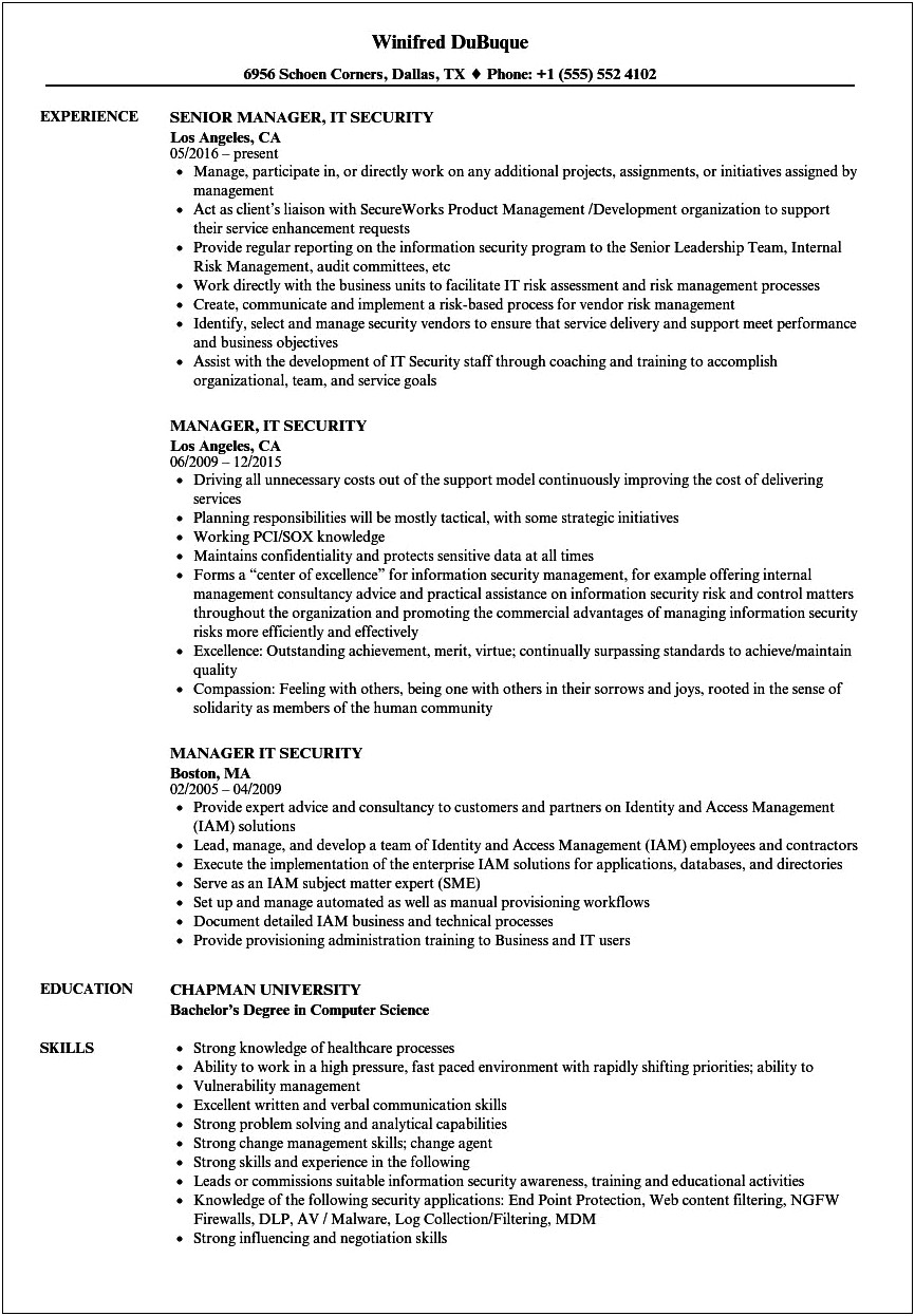 It Security Risk Manager Resume
