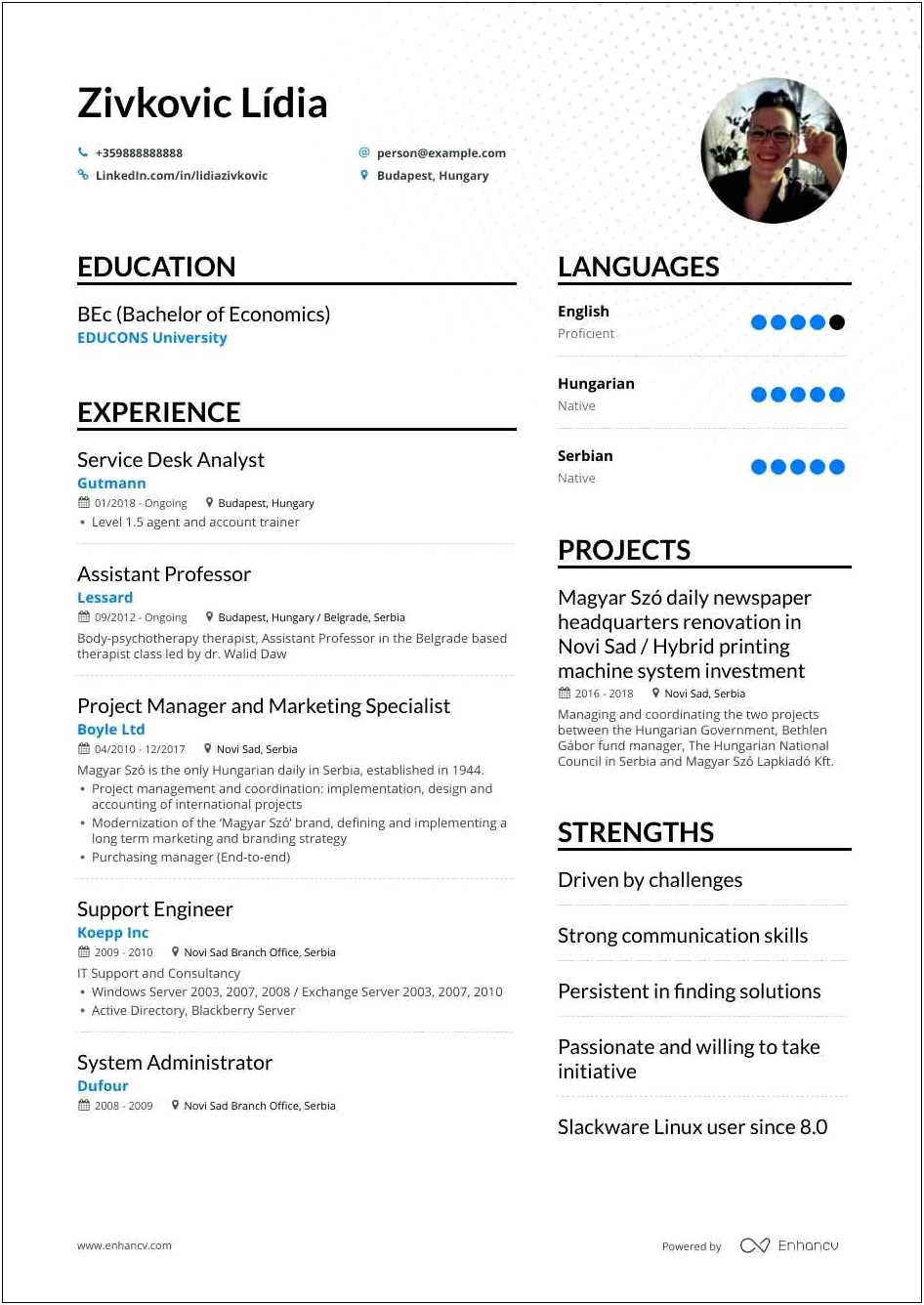 It Support Resume Summary Statement Examples