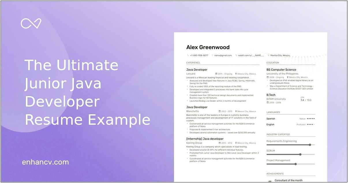Java J2ee Developer Resume Example