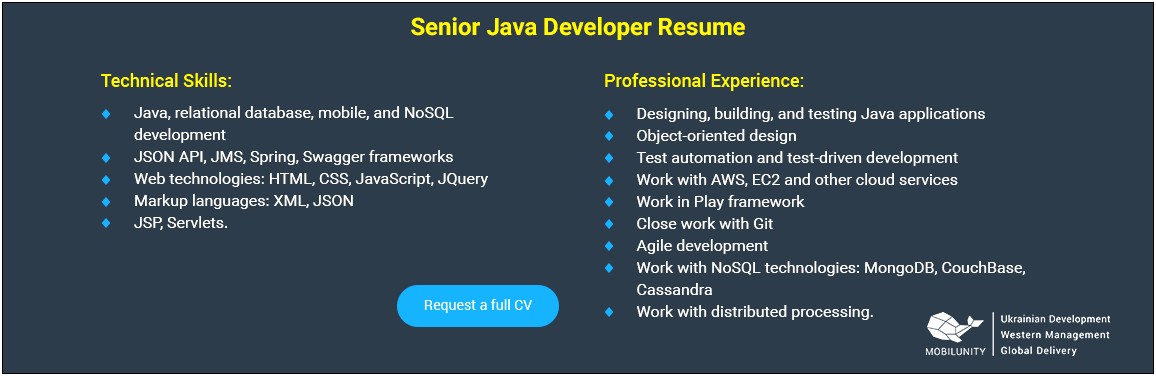 Java J2ee Developer Sample Resume
