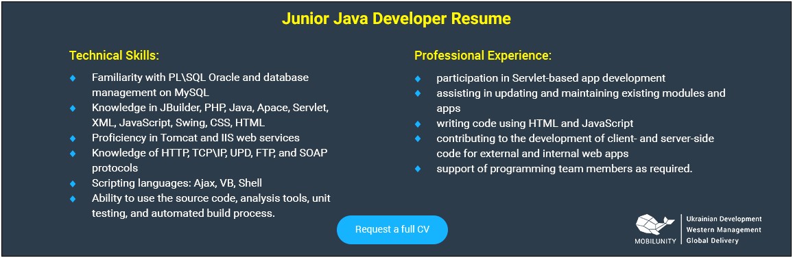 Java Web Developer Resume Example
