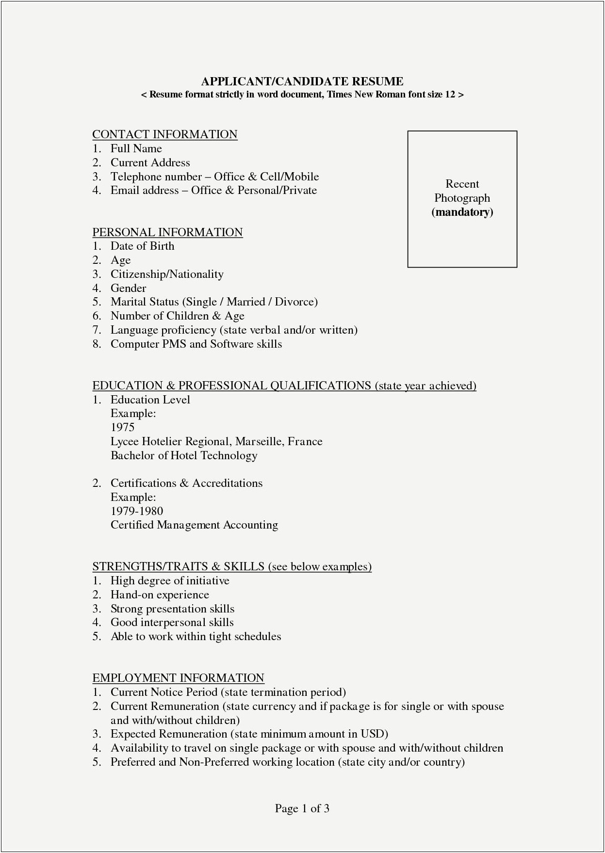 Job Application Simple Resume Format