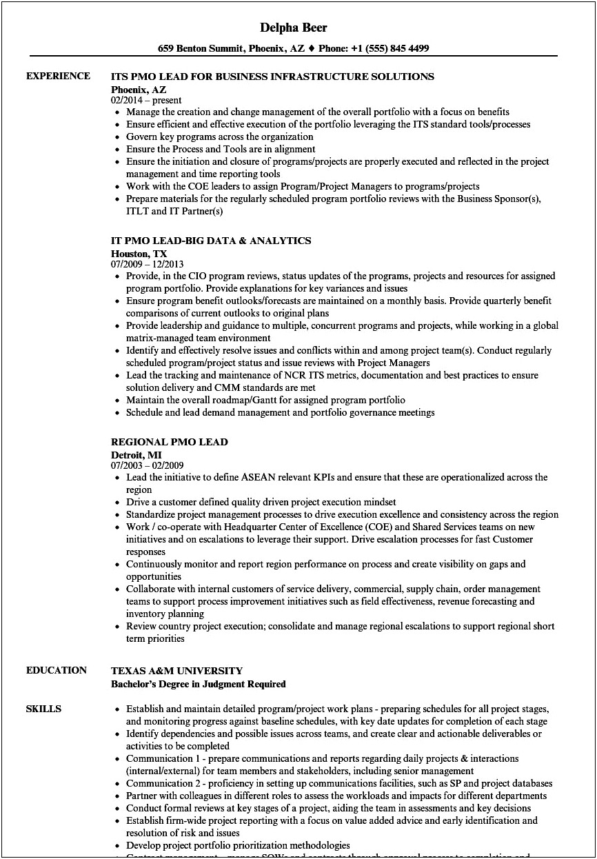 Job Description Head Of Pmo Resume