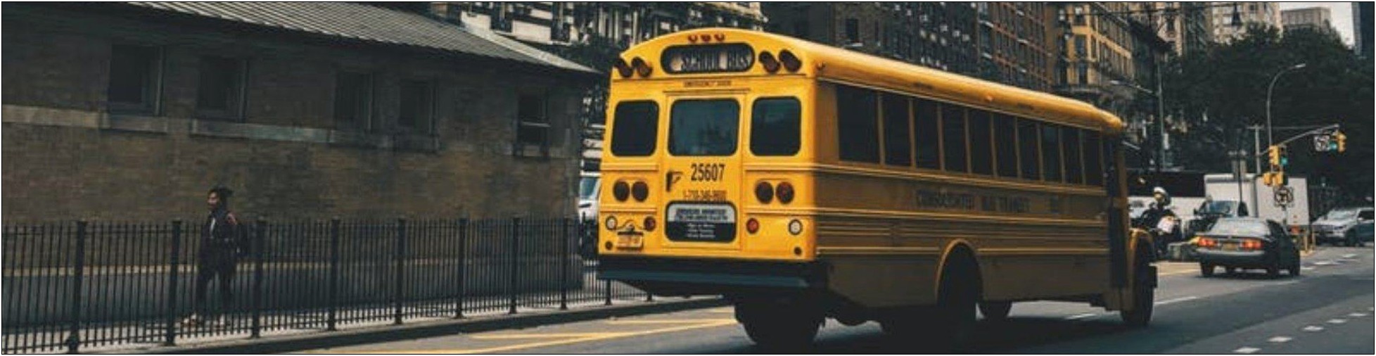 Job Description School Bus Driver Resume