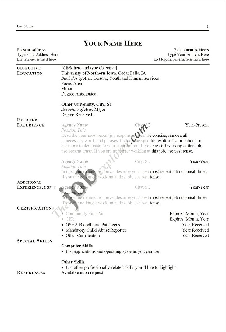 Job Resume Formats And Examples