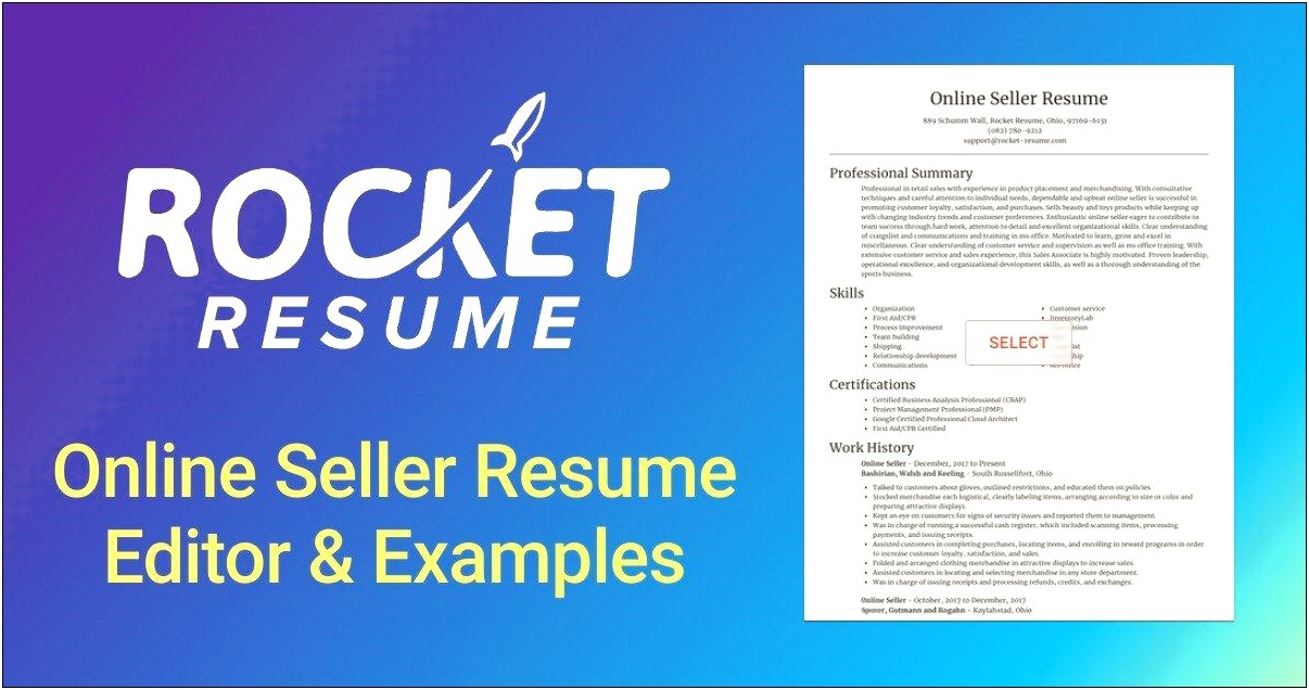 Job Title For Ebay Seller On Resume