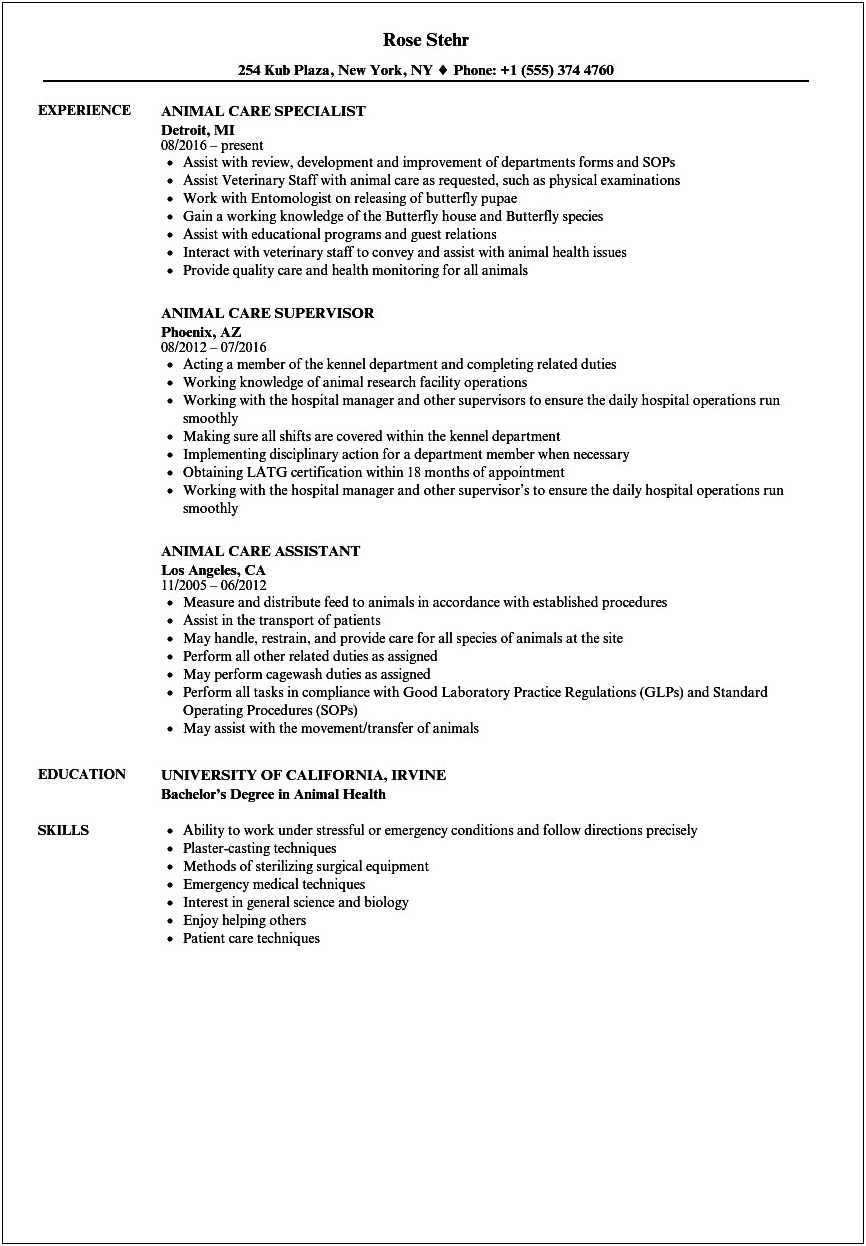Kennel Attendant Job Description Resume