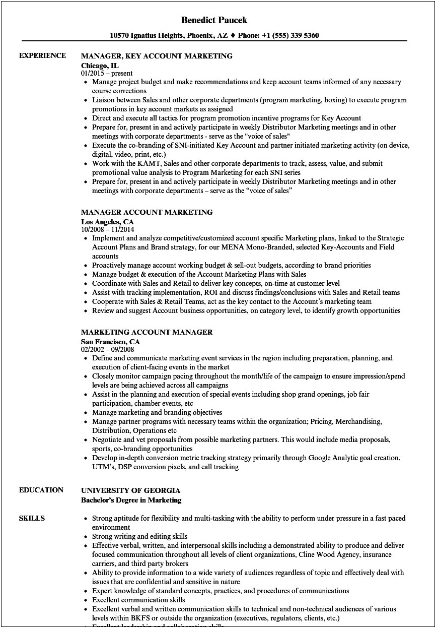 Key Account Manager Resume Sample