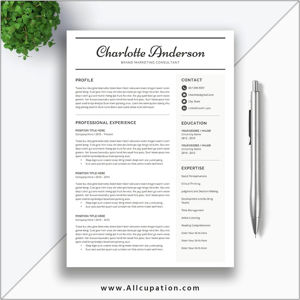 Layout Of A Job Resume