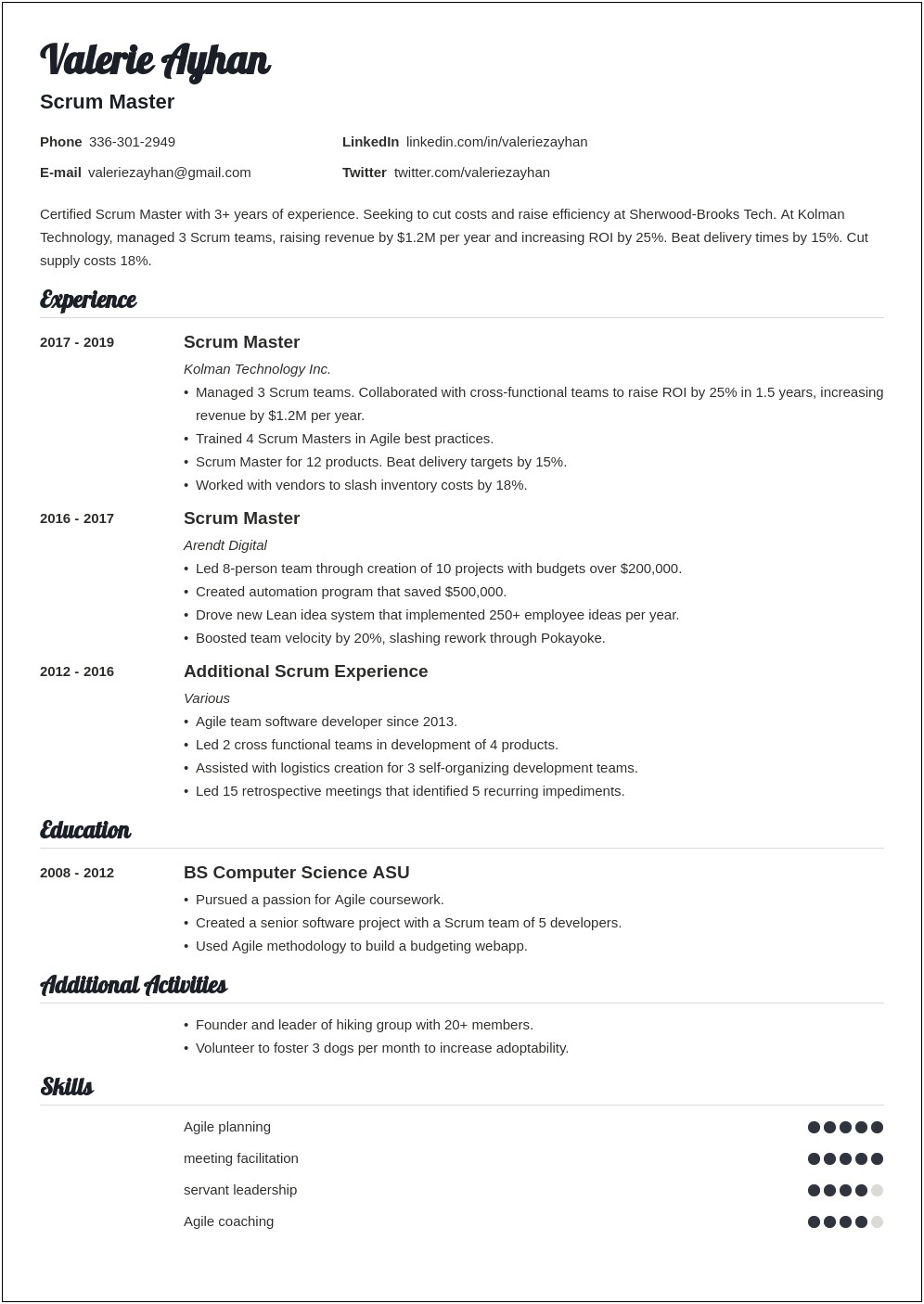 Lead Cross Functional Resume Summary Sample
