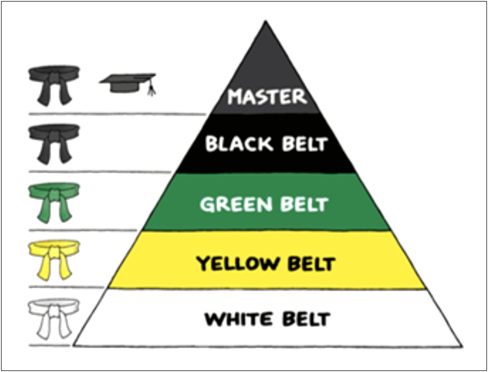 Lean Six Sigma Green Belt Resume Examples