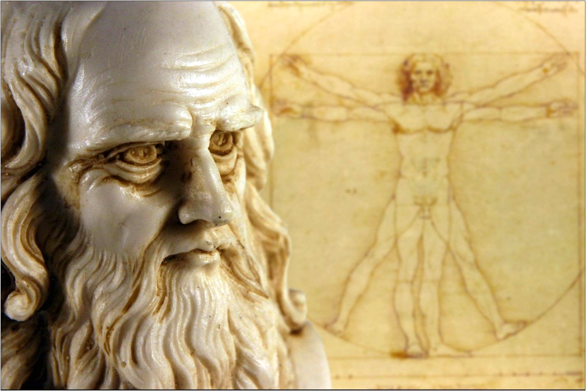 Leonardo Da Vinci Resume.letter Model