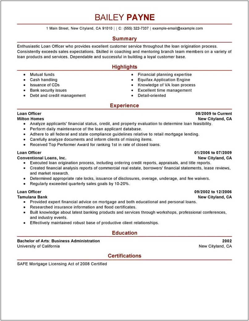 Loan Or Grant Officer Resume Examples