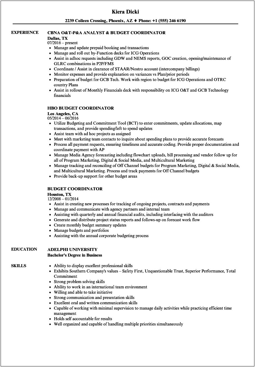 Manage Large Budget In Resume