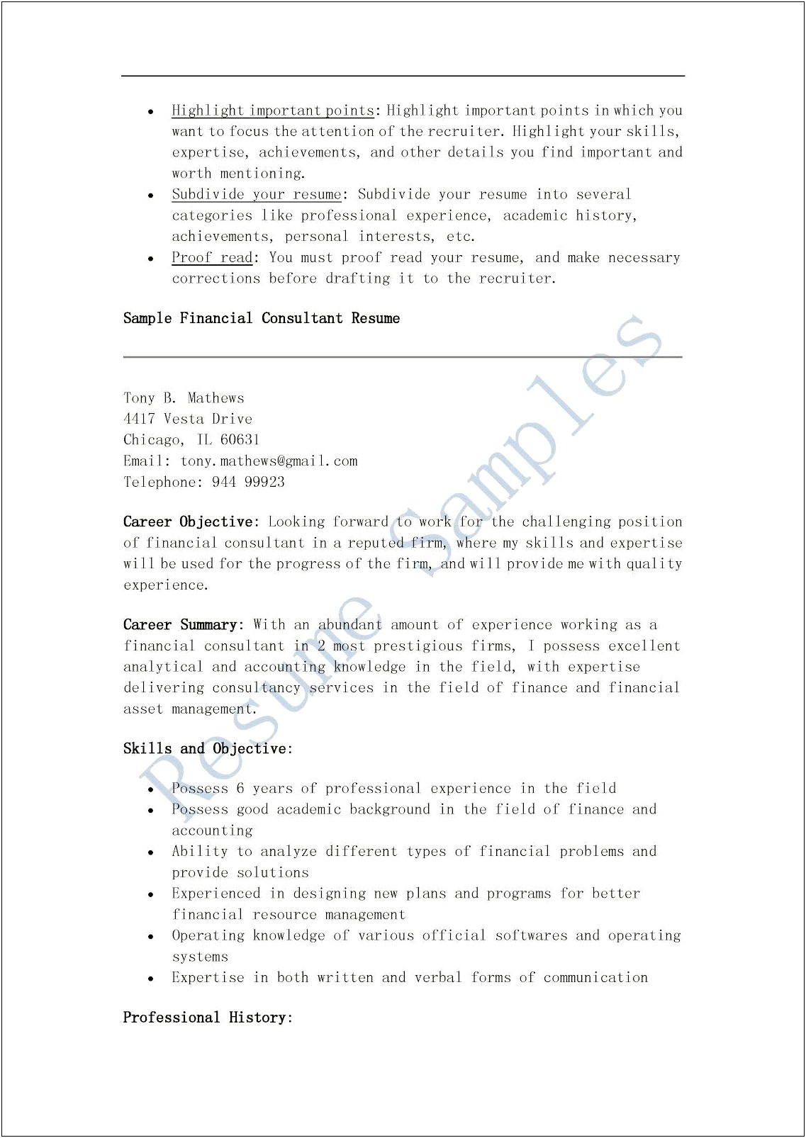 Management Consulting 2 Page Resume