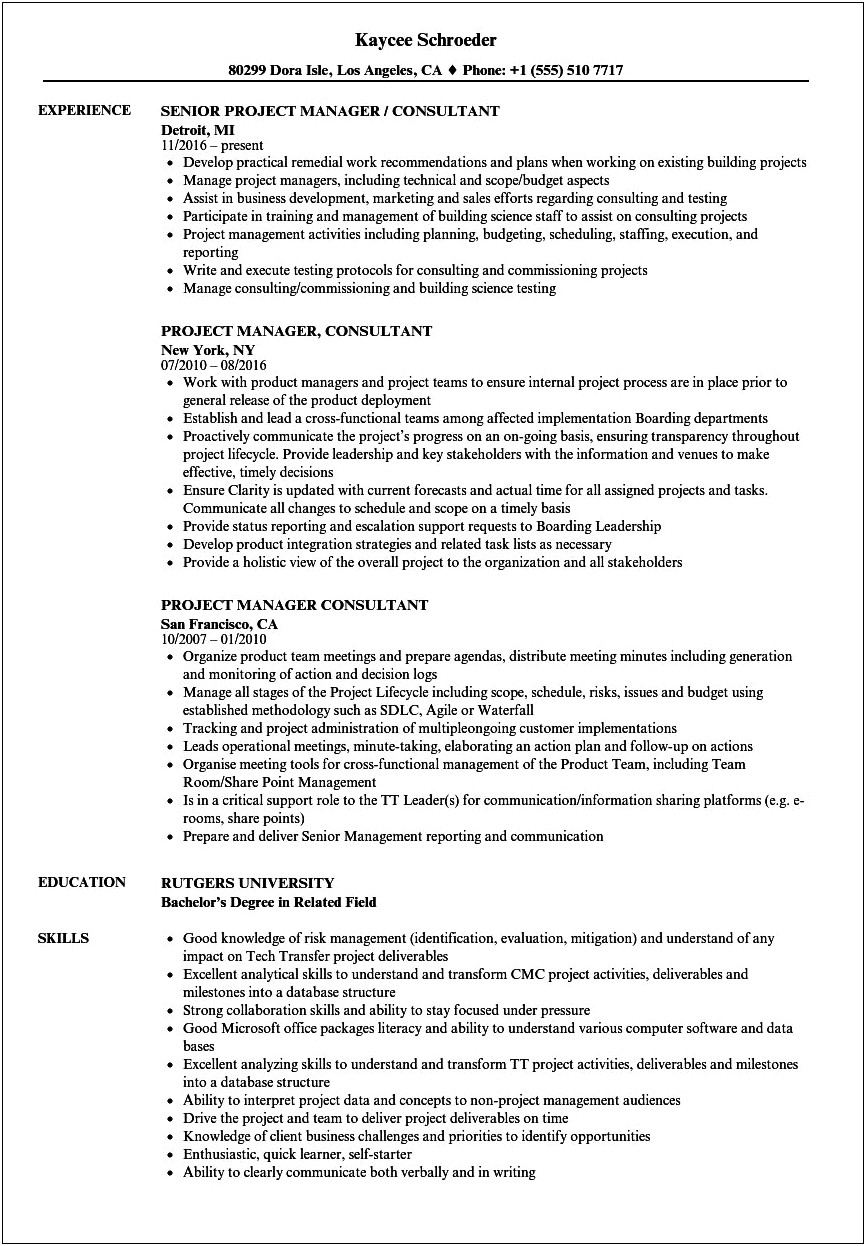 Management Consulting Projects On Resume