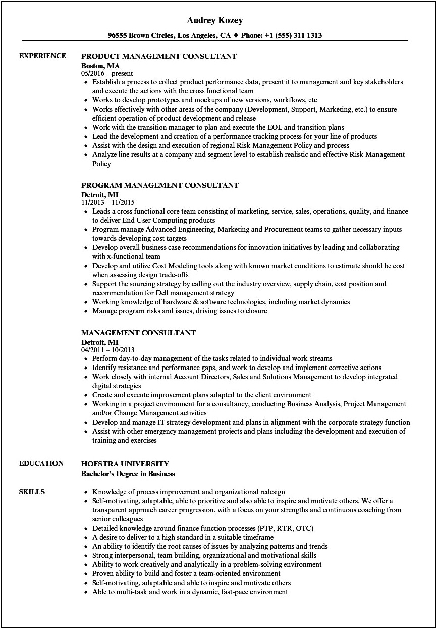 Management Consulting Resume No Leadership