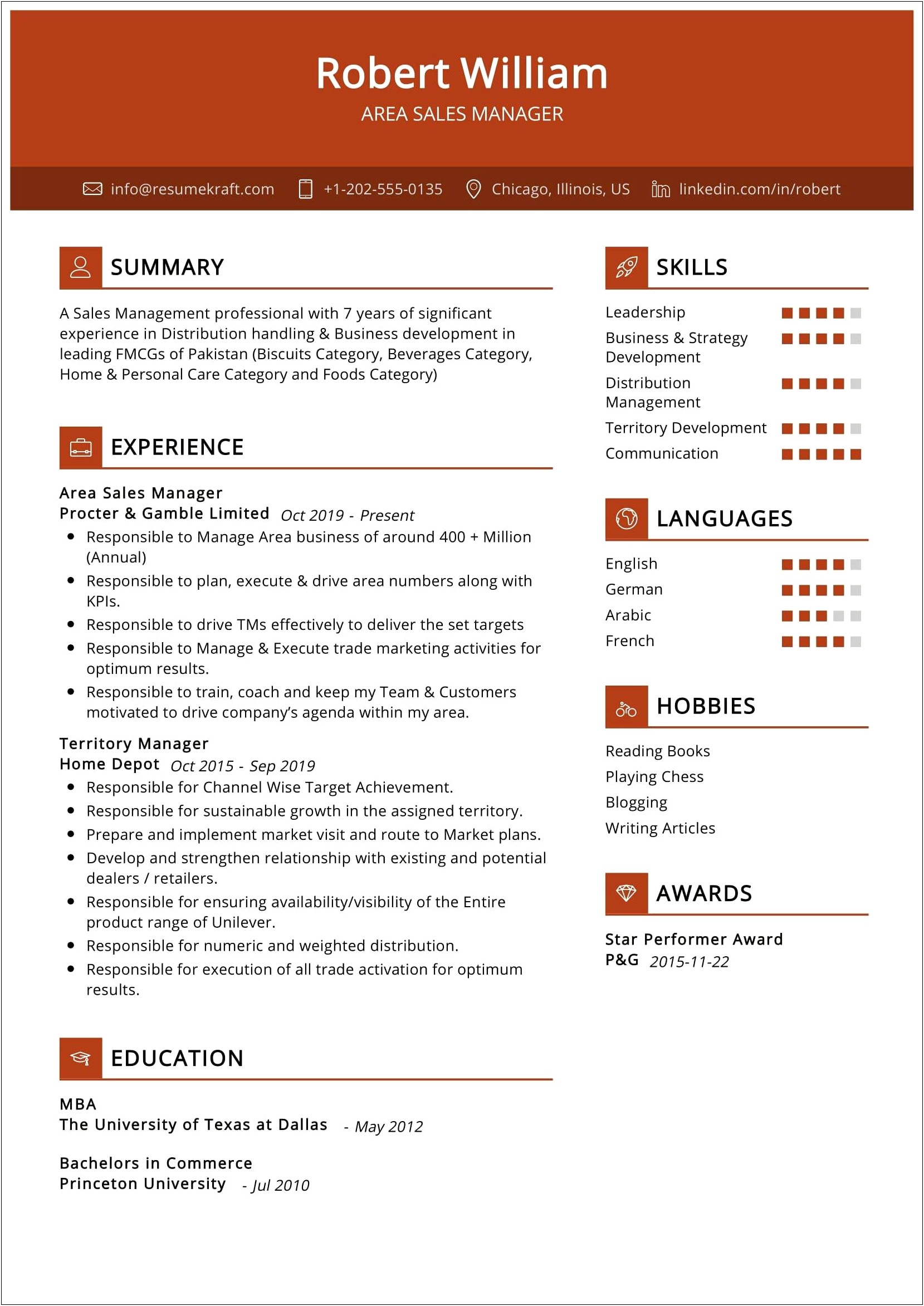 Marketing And Sales Resume Summary Example