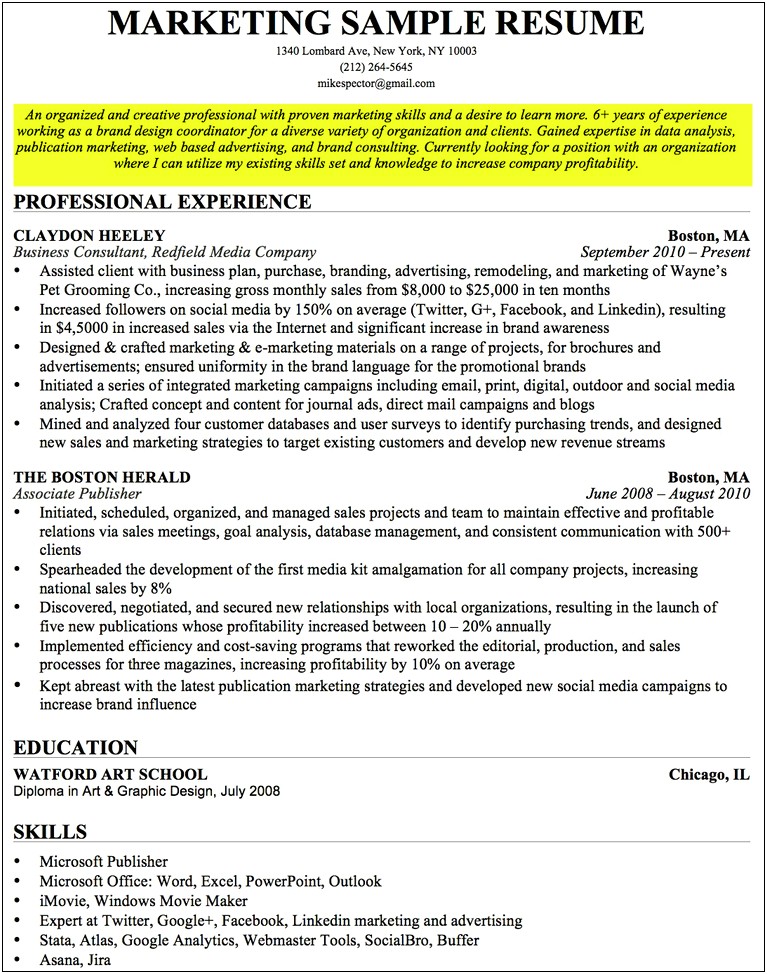 Marketing Professional Objective For Resume