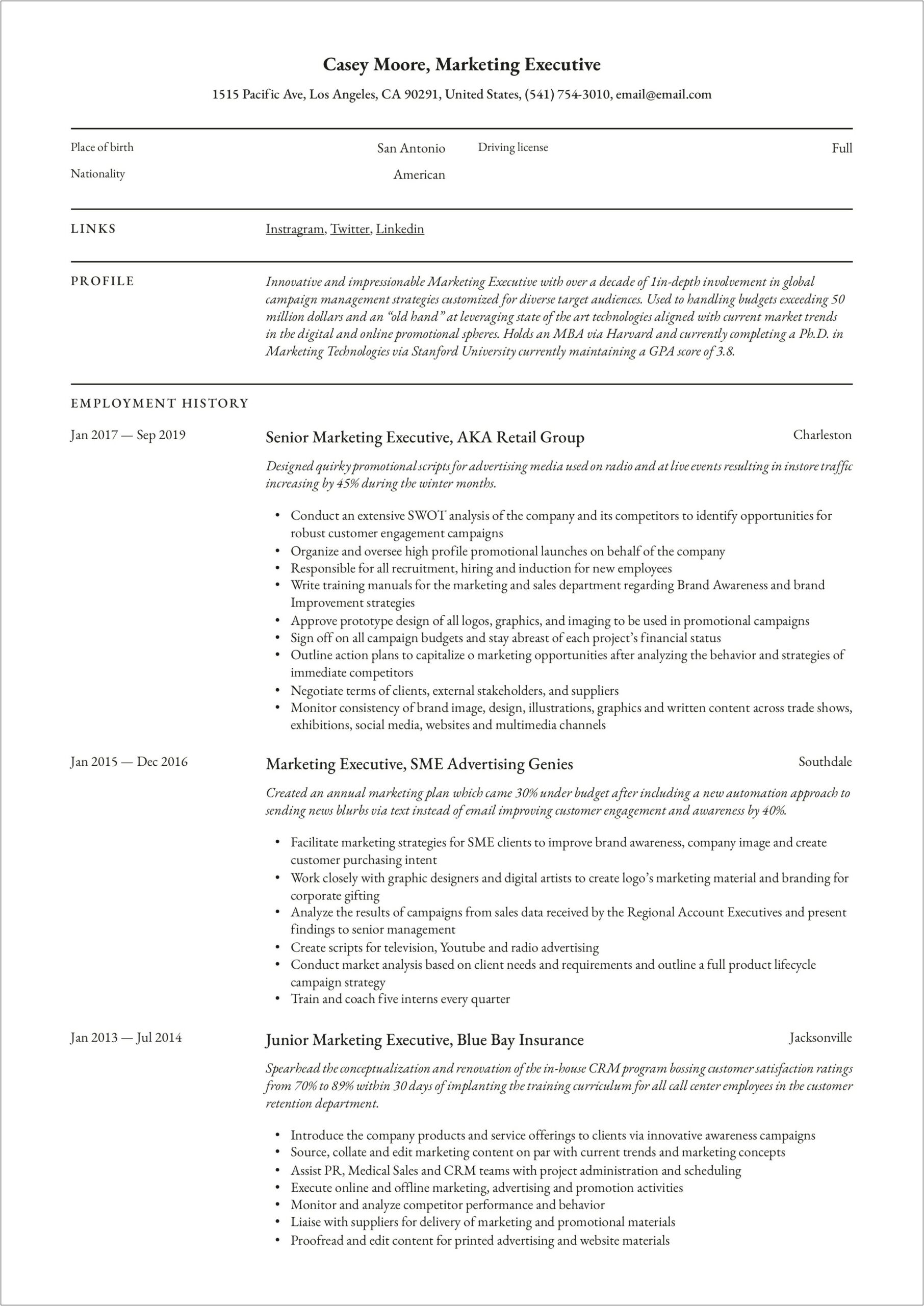 Marketing Resume Executive Summary Example