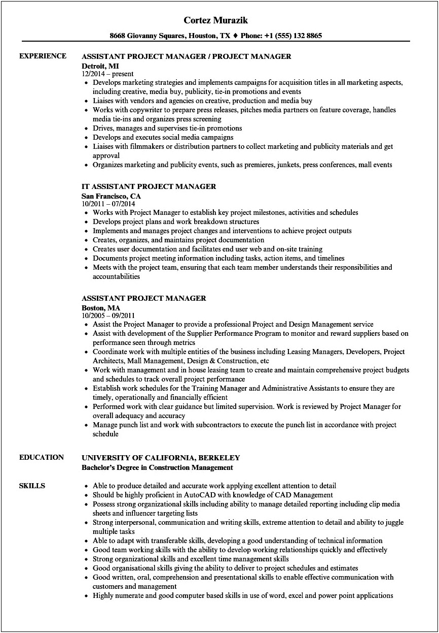 Mechanical Project Manager Resume Pdf