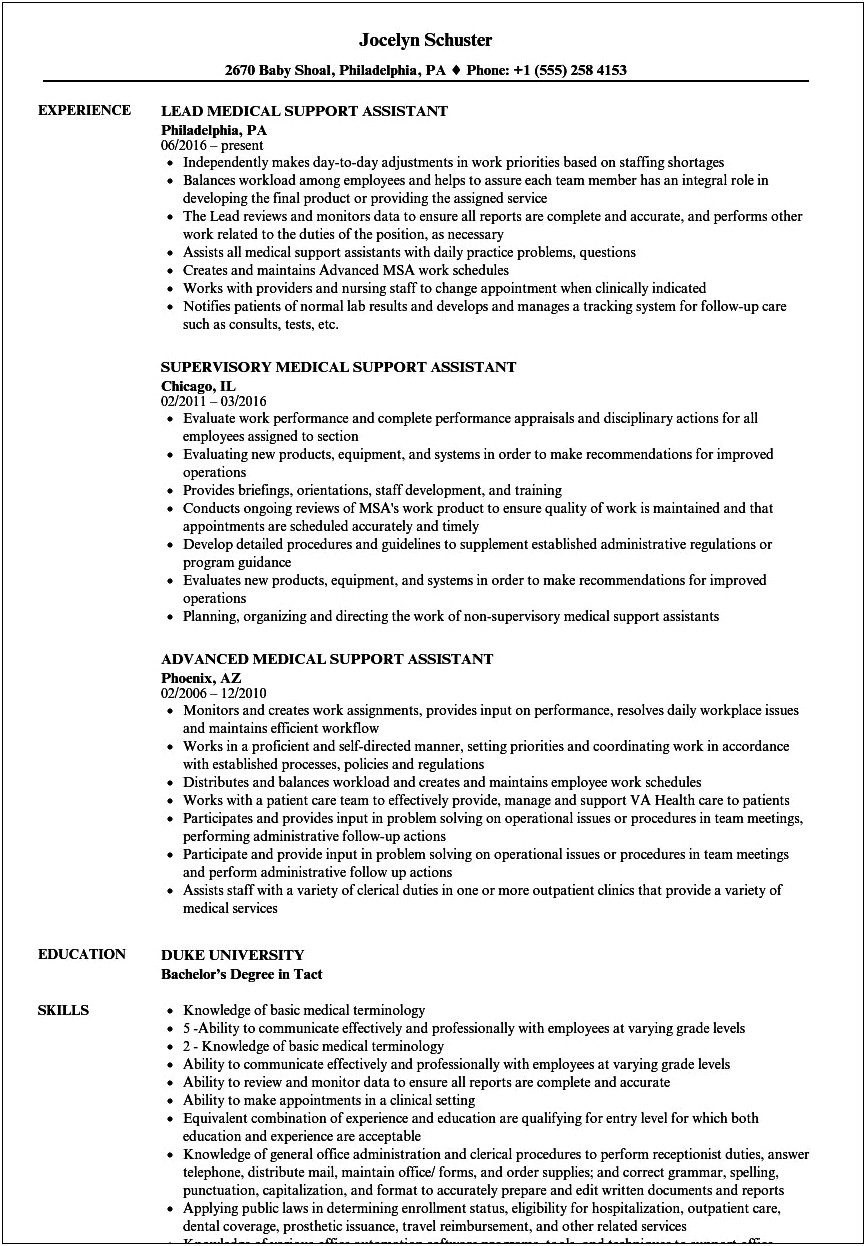 Medical Support Assistant Resume Example