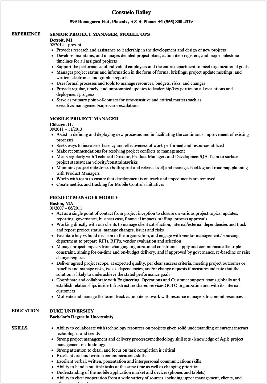 Mobile Application Product Manager Resume