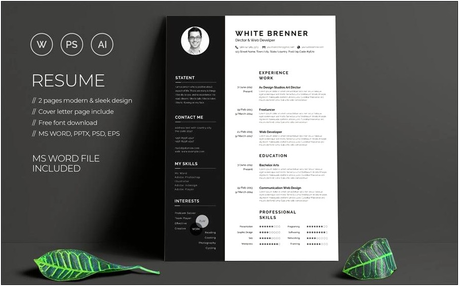 Modern Resume Template With Photo Free Download