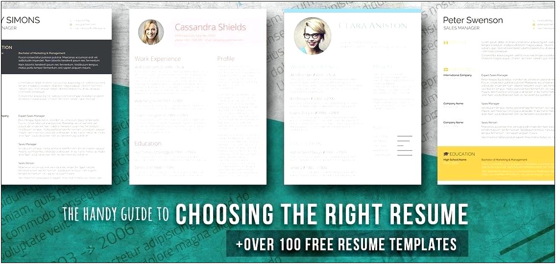 Ms Word Resume Templates Free Functional Format