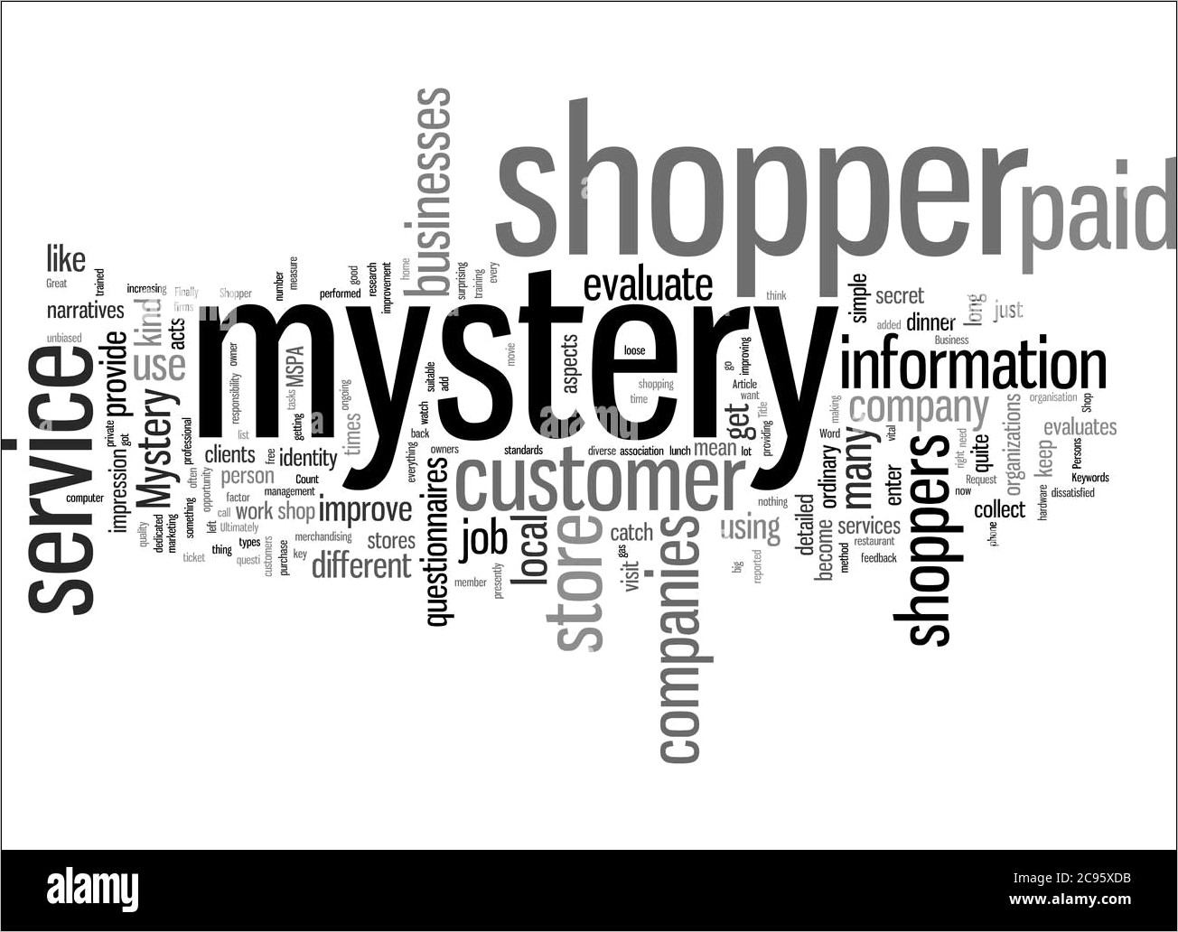 Mystery Shopper Job Description Resume