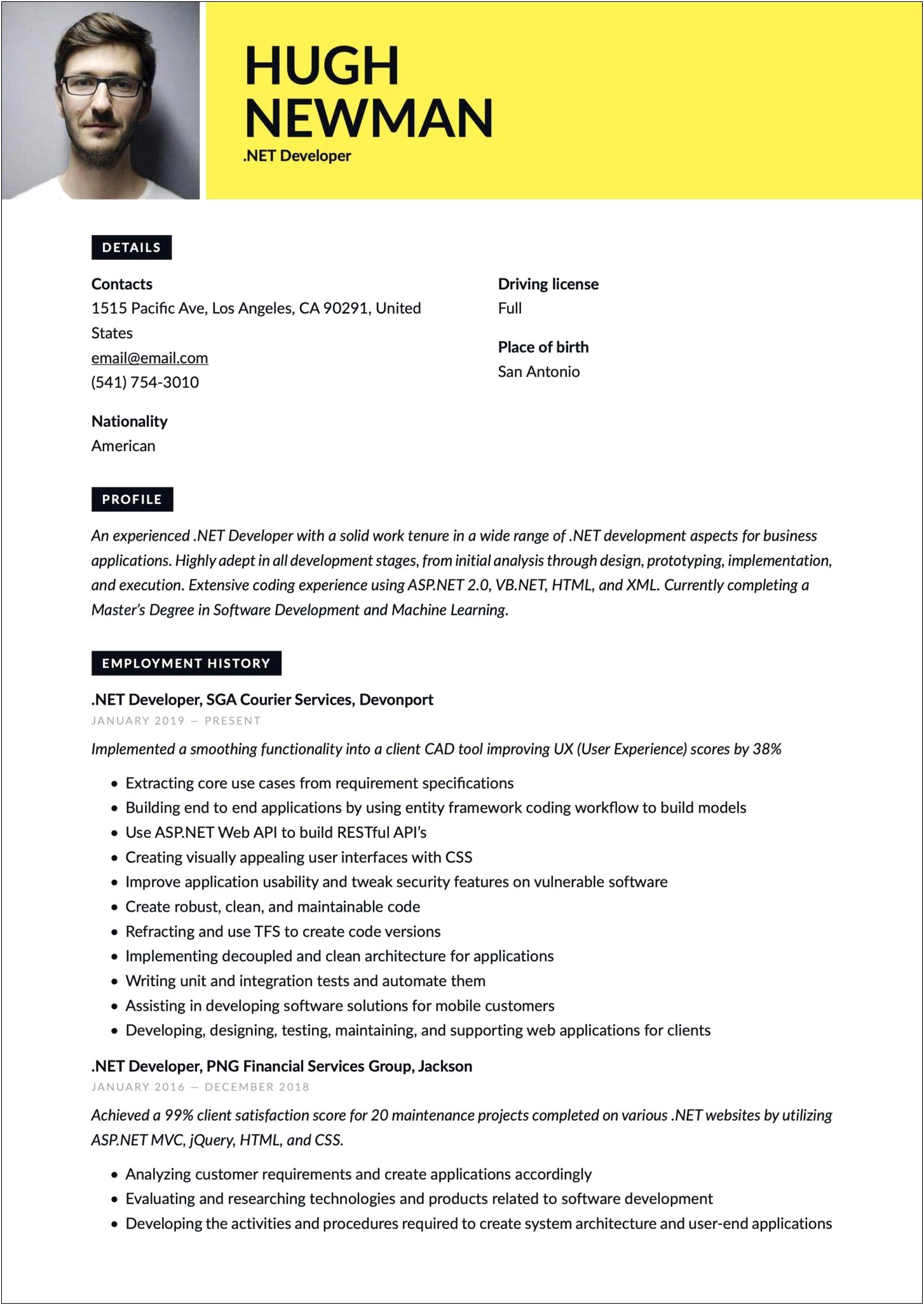 Net Developer Sample Resume With Financial Company Experience
